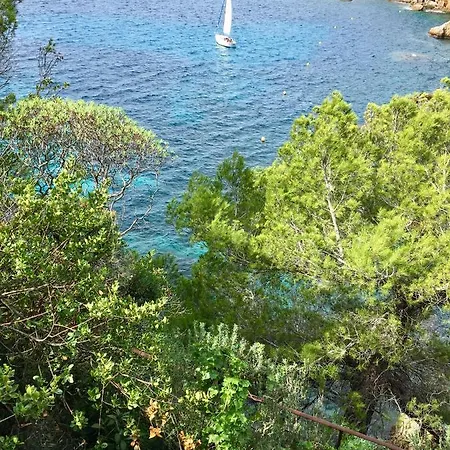 Appartement Artistic Antibes